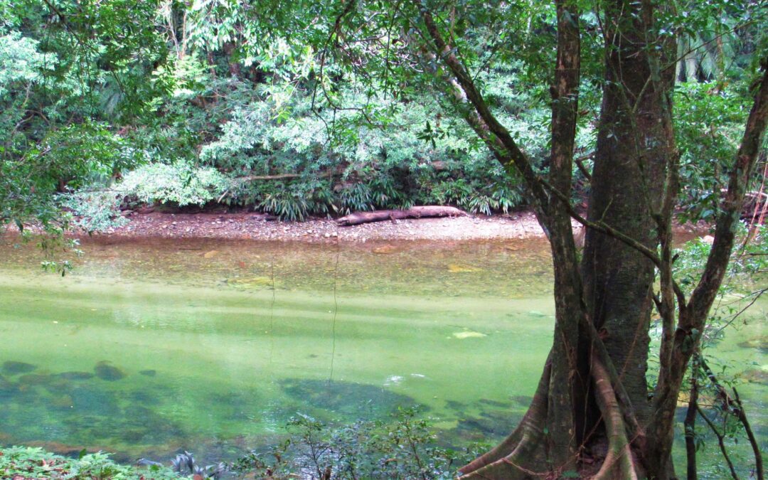 Reserva Natural Cañón del Río Claro en Colombia