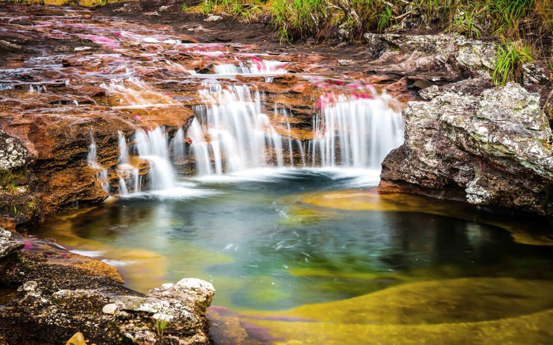 Caño Cristales: “El río de los dioses” … obra majestuosa de la naturaleza