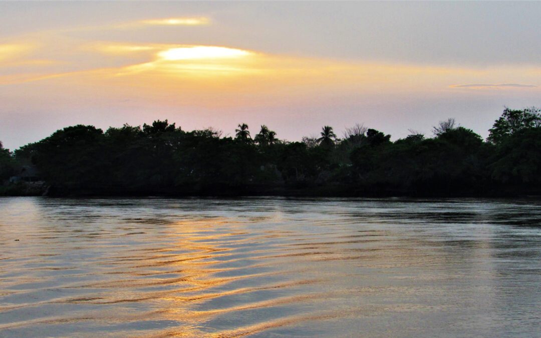La apacible corriente del bajo Magdalena