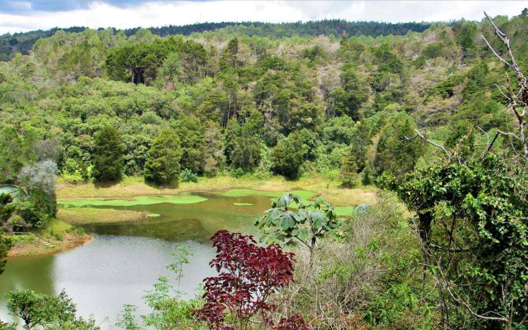 Arví, el mar verde a un metro de Medellín