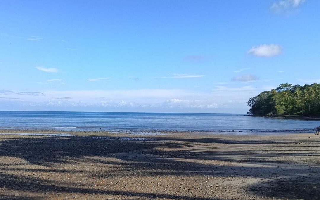 Isla Gorgona: un tesoro natural en el pacifico colombiano