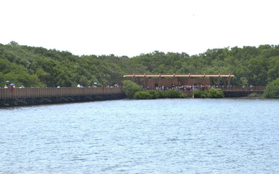 Ciénaga de Mallorquín, la recuperación de un tesoro