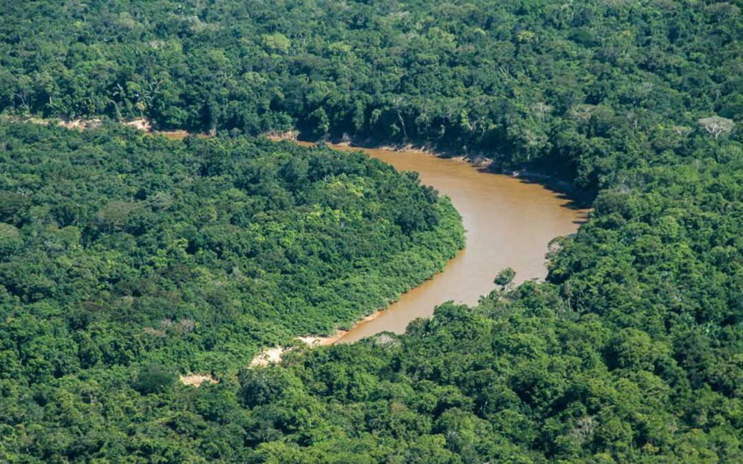 Serranía de Manacacías alberga 12 ecosistemas estratégicos en la Orinoquía