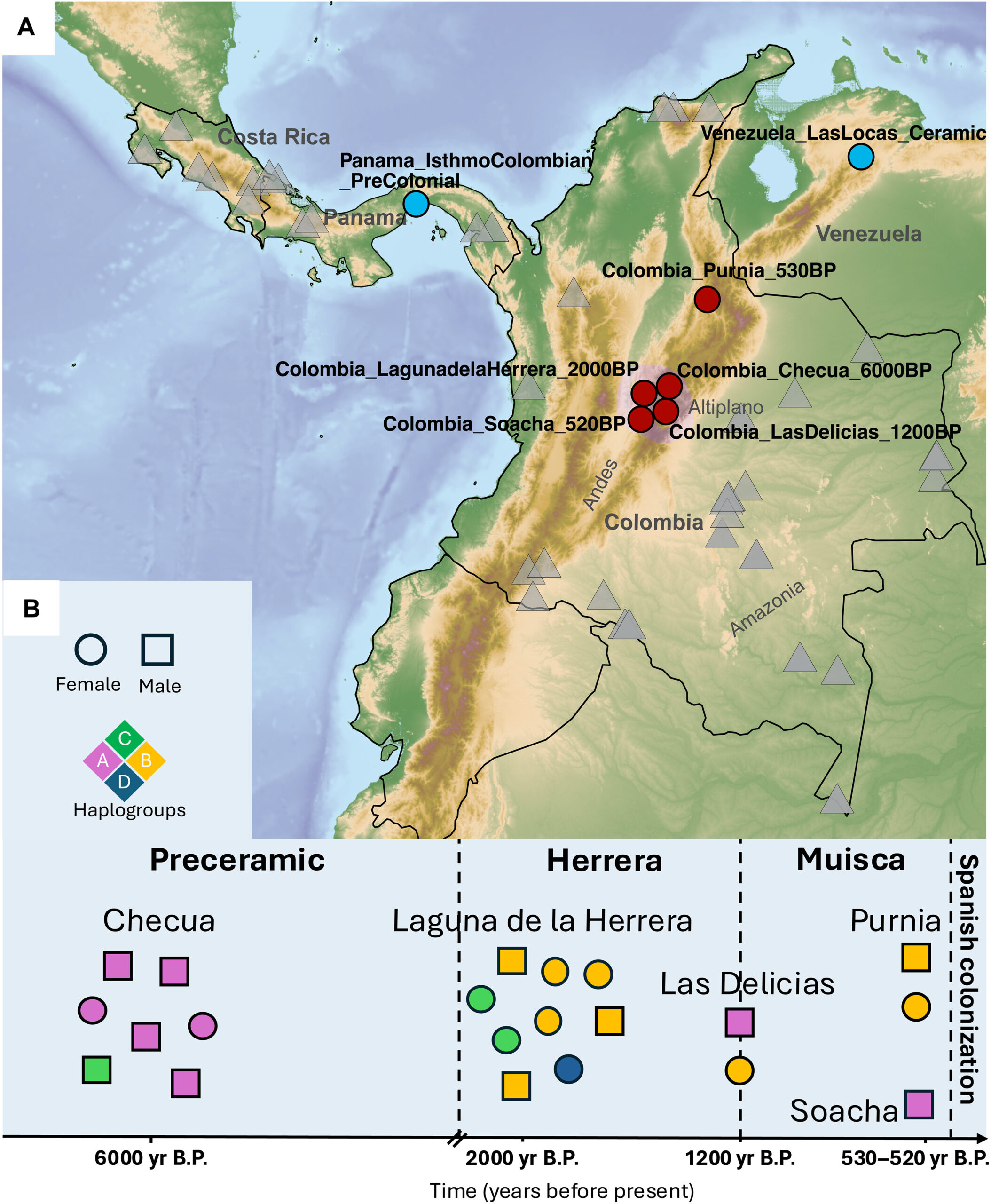 cbp- hallazgo arqueologico- sciadv