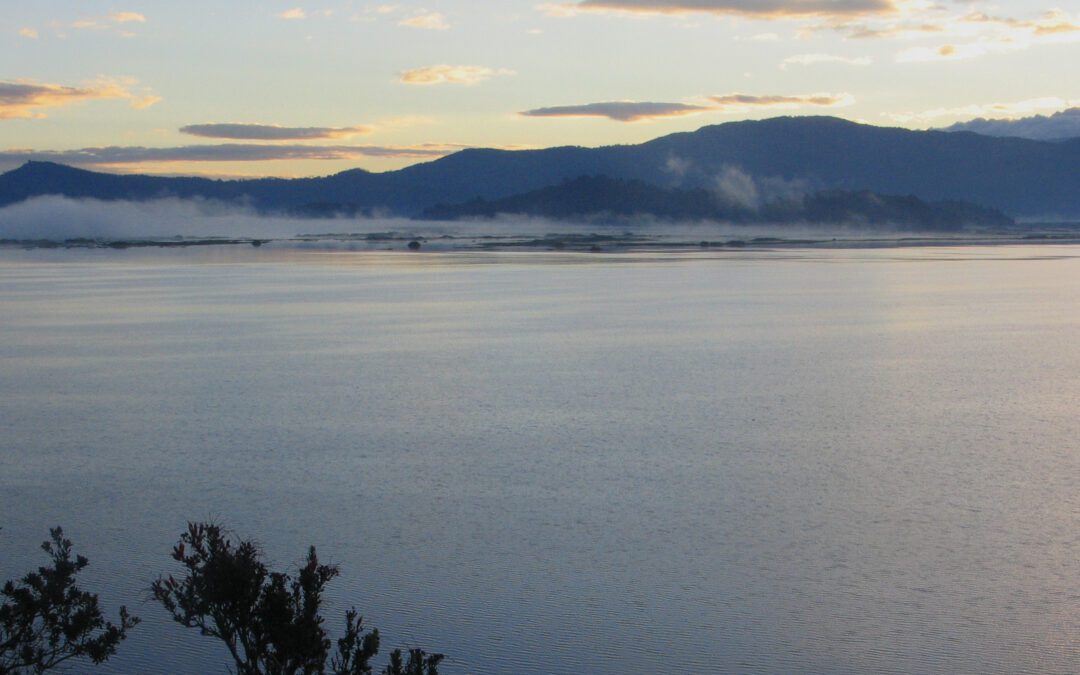 ONGs se unen por la conservación de los humedales de alta montaña