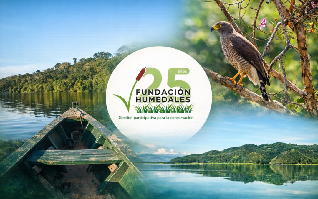 Fundación Humedales: 25 años de conservación participativa en Colombia