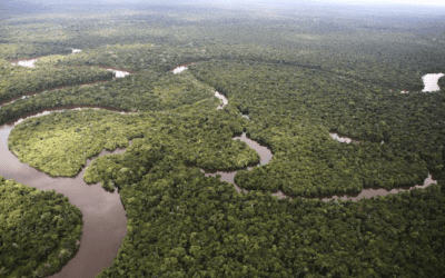 Biodiversidad amazónica, base genética de Colombia