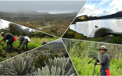 Colombia adopta metodología para regular actividades agropecuarias en páramos