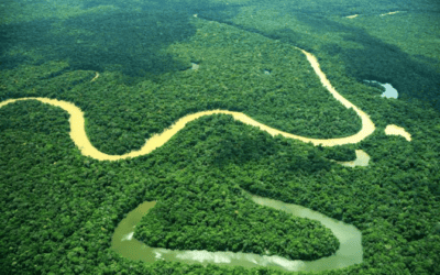 Jóvenes colombianos impulsan la protección de la Amazonía desde Chiribiquete