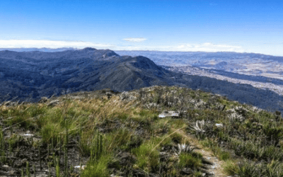 Bogotá celebra 488 años con avance histórico en restauración ecológica